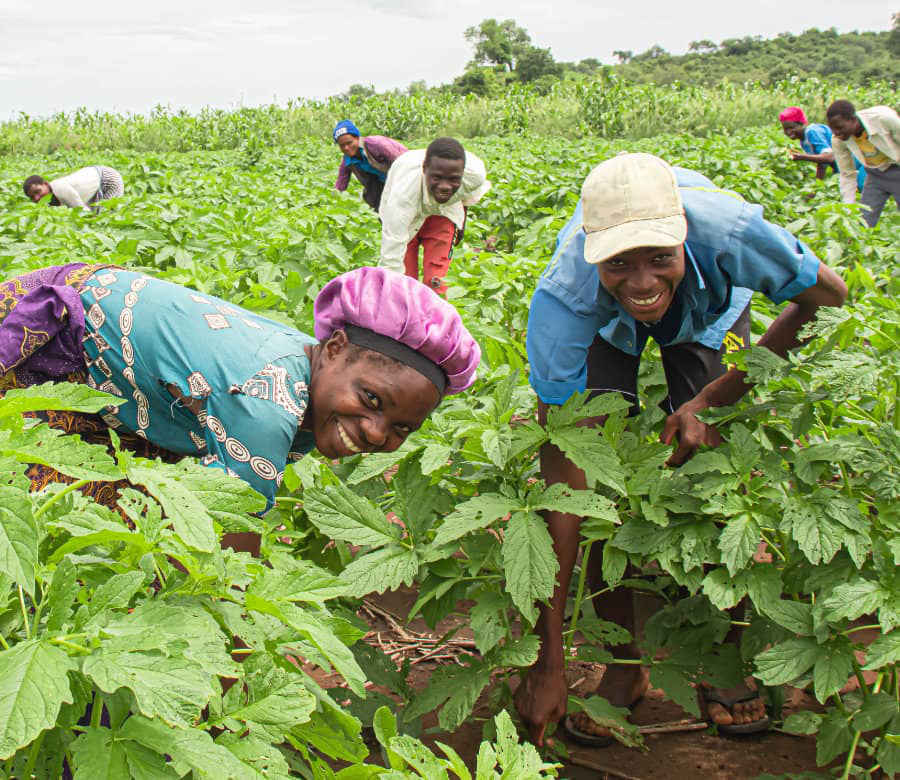 Our Farming Community