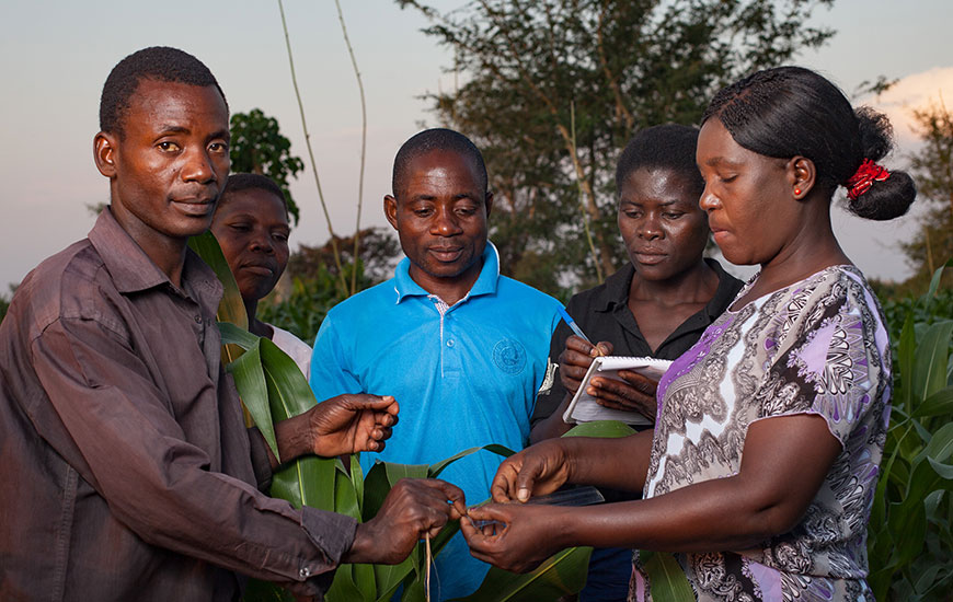 Farmer Training